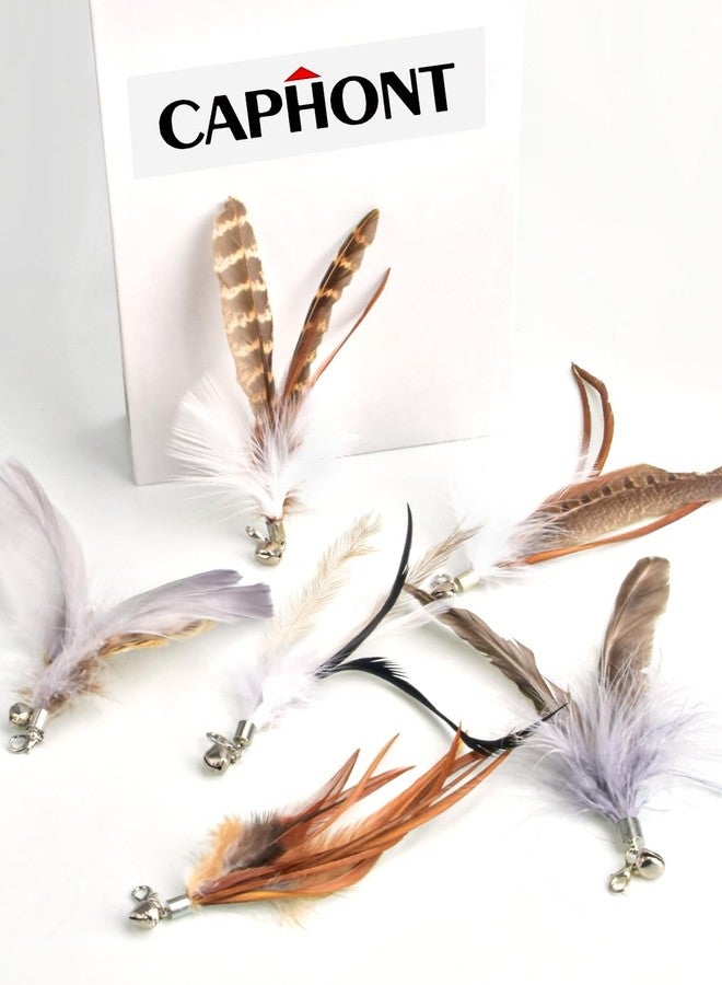 CAPHONT Cat Feather Toys Refills Cat Wand Replacement Feathers 6 PCS Handmade Cat Toy Feather Refills for Cat Wand Attachments Interactive Feather Cat Toy for Indoor Cats - Image 5